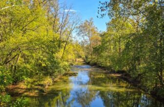 The Little Issues E-newsletter #490 – Life, ...