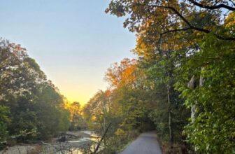 The Little Issues Publication #491 – Life, l...