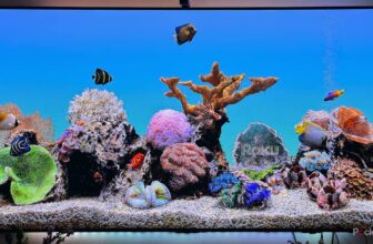 You do not want a brand new Roku; that you must cl...